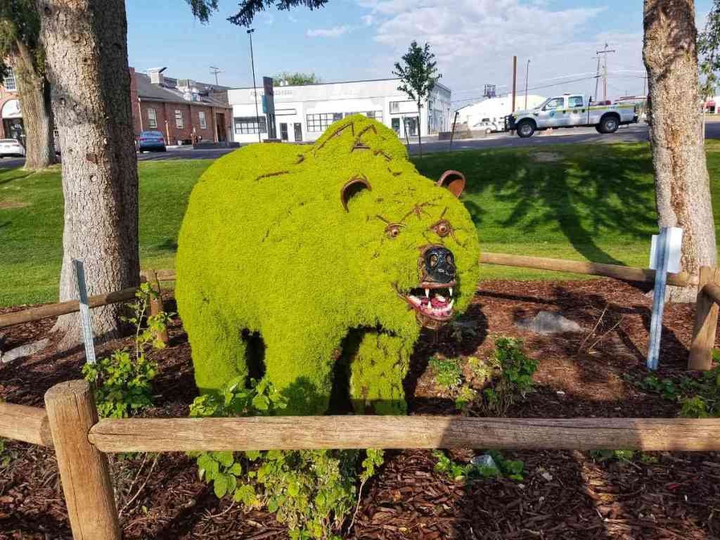 A mean looking bear artistically carved out of a bush in Idaho Falls ID.